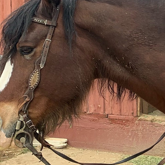 Meet your Posher, Josiah - Picture 1 of 1